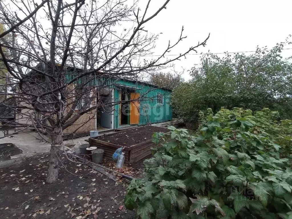 Дом в Курганская область, Курган Боровик СНТ,  (50 м) - Фото 1