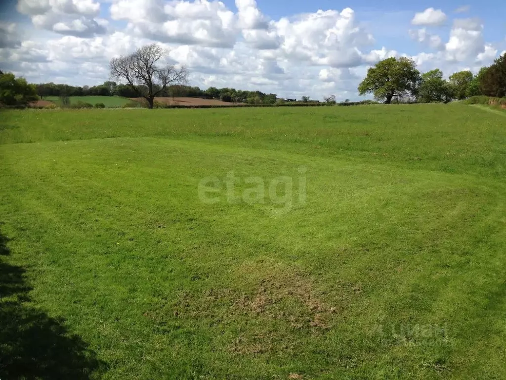 Участок в Брянская область, Суражский район, Лопазненское с/пос, с. ... - Фото 2
