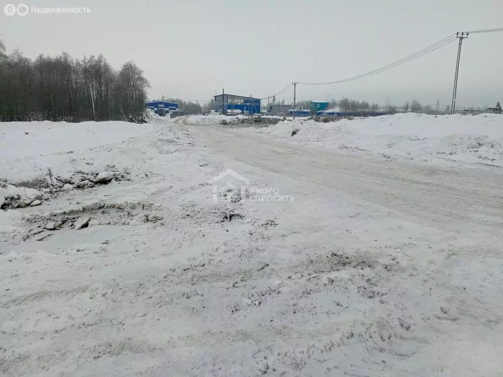 Участок в городской посёлок Красный Бор, 4-я линия (12 м) - Фото 2