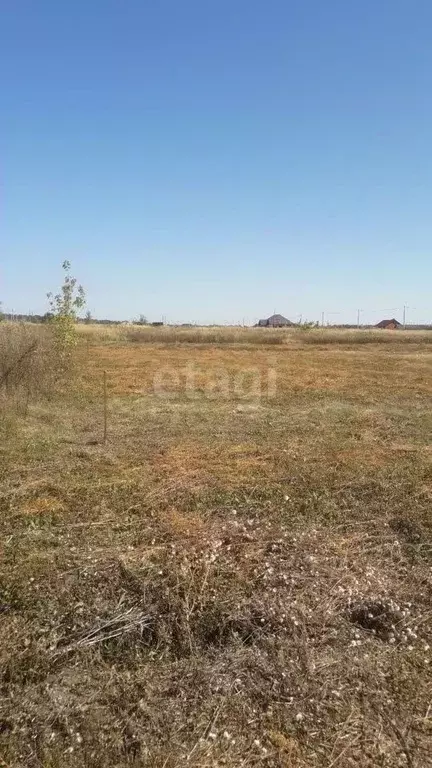 Участок в Белгородская область, Белгородский район, Разумное рп ул. ... - Фото 1