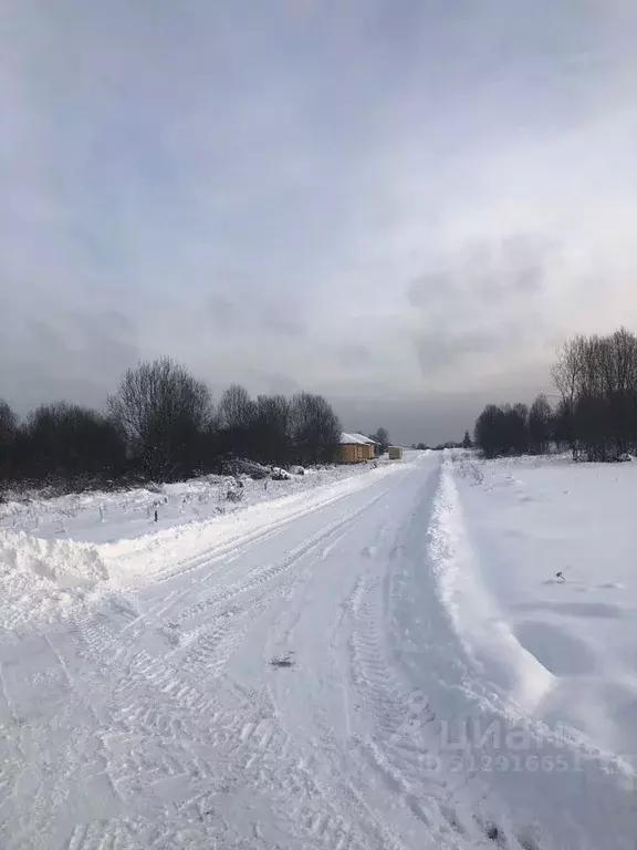 Участок в Московская область, Дмитровский муниципальный округ, пос. ... - Фото 0