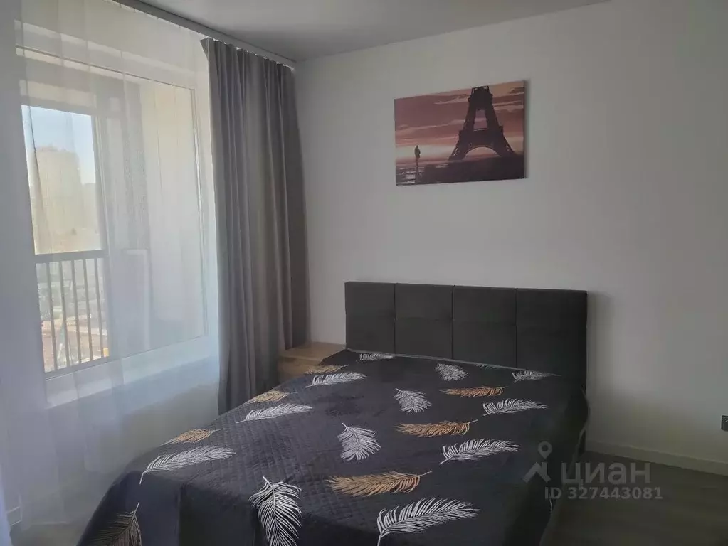 Студия Санкт-Петербург Дальневосточный просп., 19к1 (28.0 м) - Фото 2