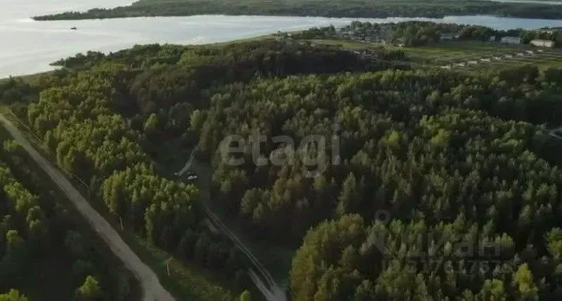 Участок в Ярославская область, Рыбинский муниципальный округ, ... - Фото 0