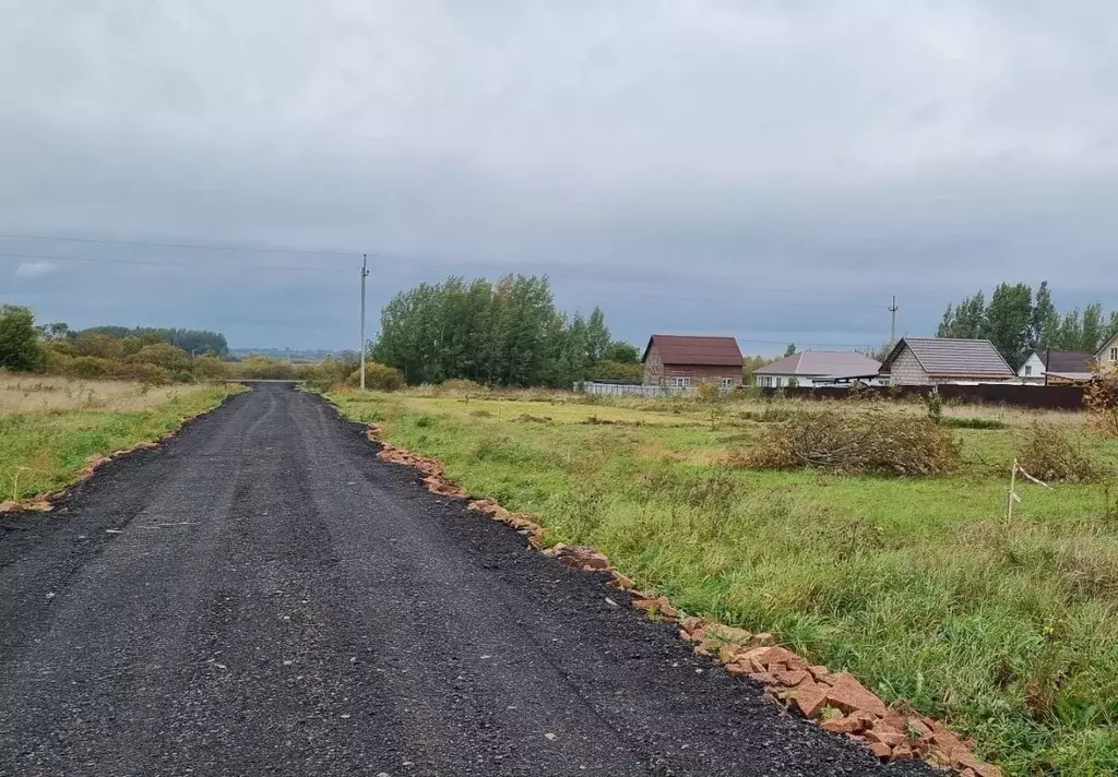 Участок в Новгородская область, Новгородский район, Савинское с/пос, ... - Фото 0