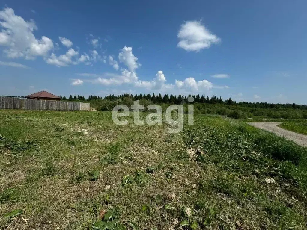 Участок в Кировская область, Кирово-Чепецкий район, Федяковское с/пос, ... - Фото 2