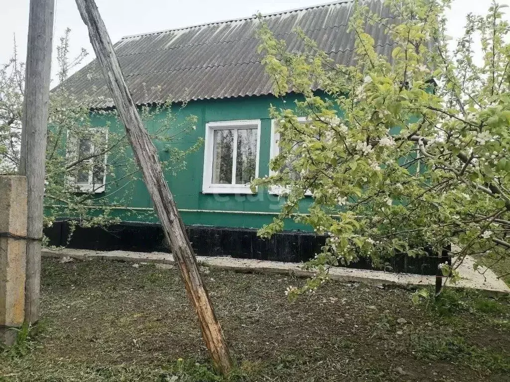 Дом в Воронежская область, Новоусманский район, Нижнекатуховское ... - Фото 0