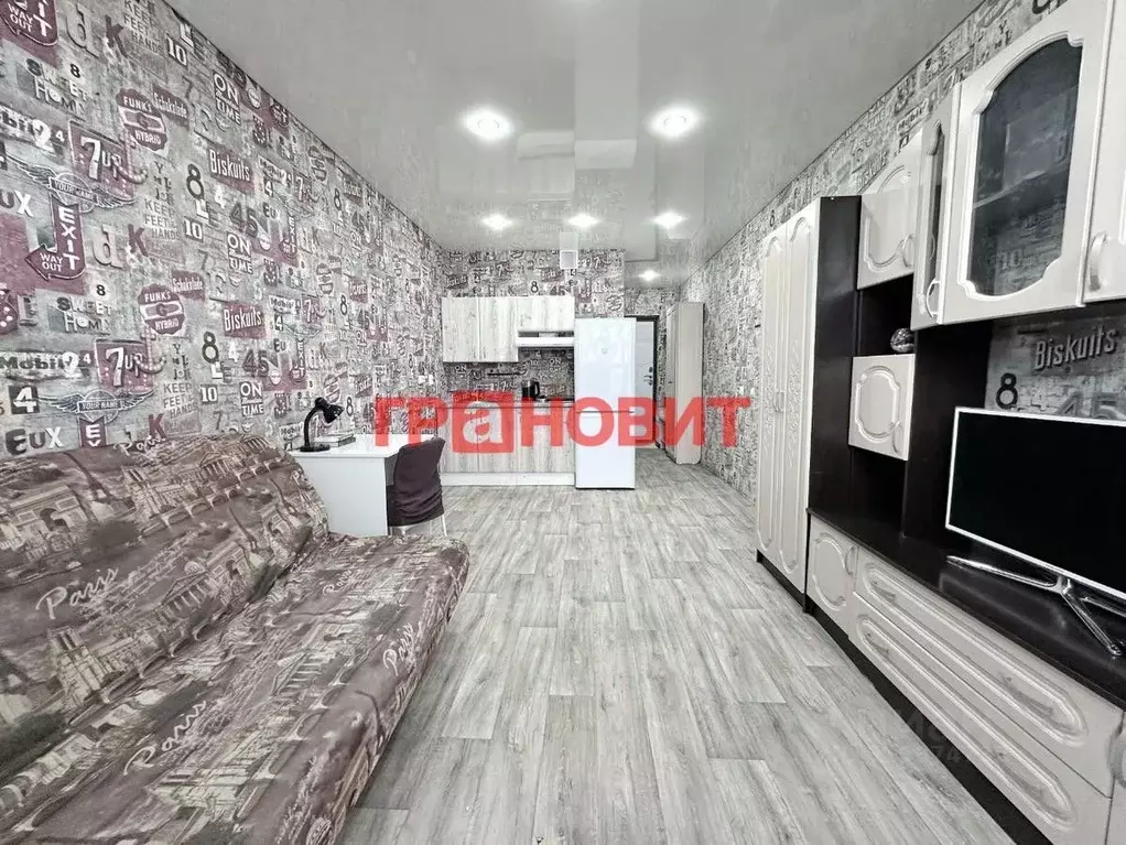 Студия Новосибирская область, Новосибирск ул. Забалуева, 90 (22.7 м) - Фото 1