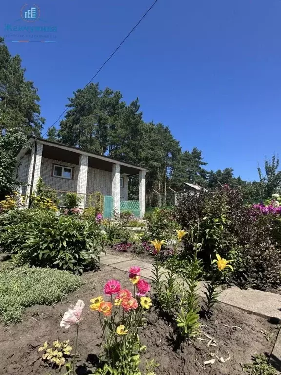 Дом в Ульяновская область, Чердаклинский район, Мирновское с/пос, ... - Фото 2