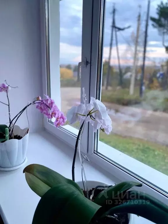 2-к кв. Иркутская область, Тулун ул. Горького, 28 (40.1 м) - Фото 2