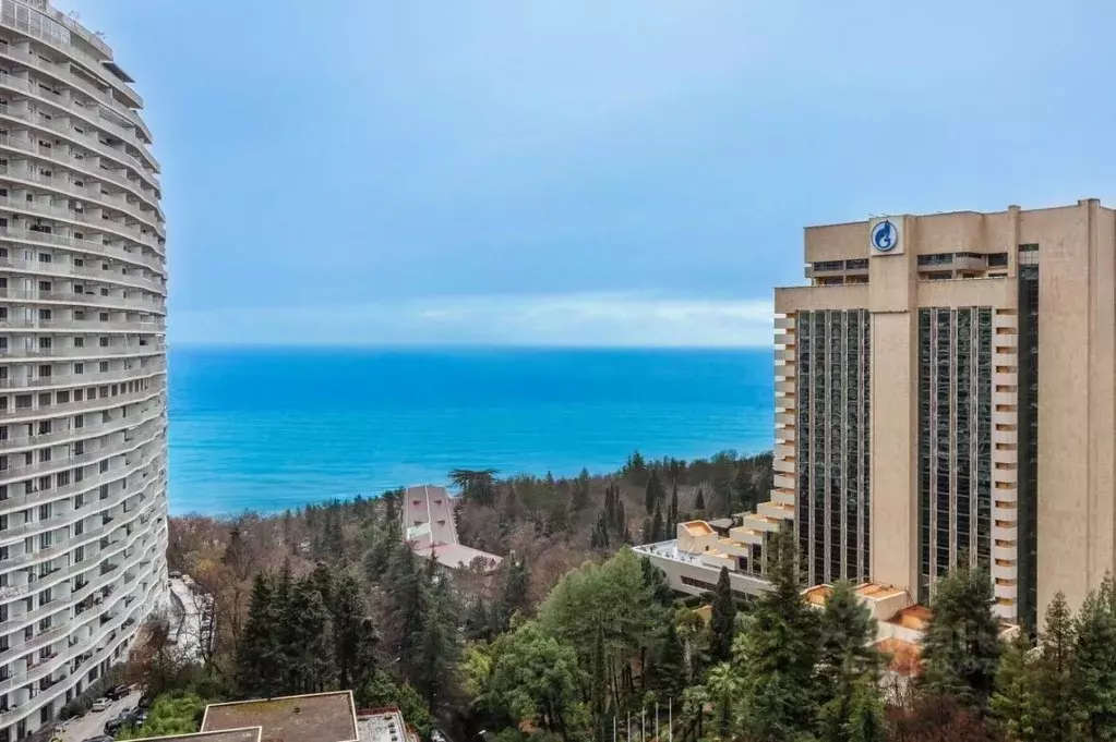 2-к кв. Краснодарский край, Сочи Курортный просп., 108 (92.0 м) - Фото 2