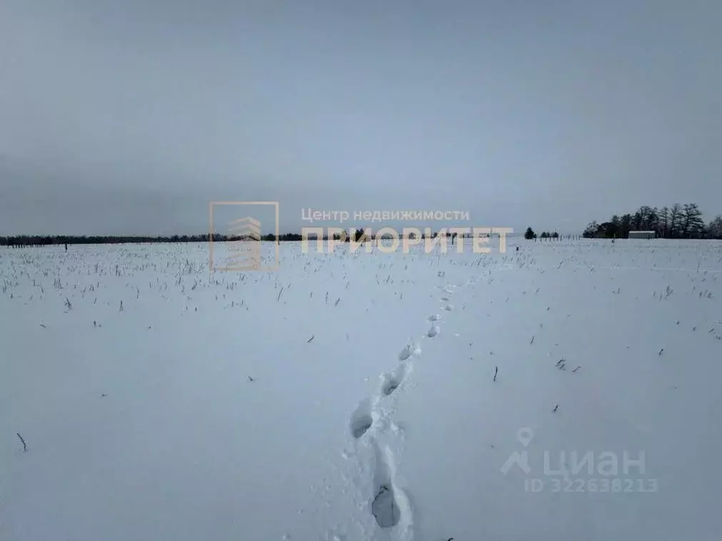 Участок в Саха (Якутия), Якутск городской округ, с. Тулагино  (12.0 ... - Фото 2