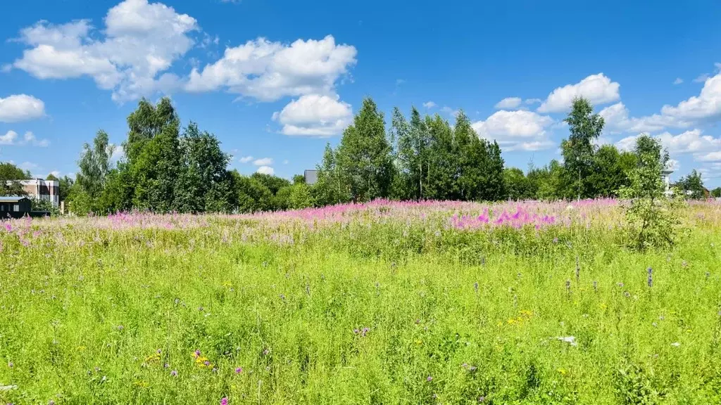 Участок в Московская область, Яхрома Дмитровский муниципальный округ, ... - Фото 1