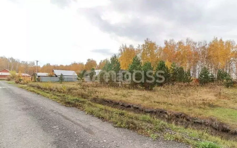 Участок в Тюменская область, Тюменский район, д. Елань  (10.0 сот.) - Фото 0