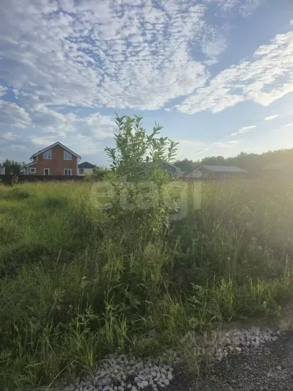 Участок в Московская область, Чехов муниципальный округ, д. Чепелево, ... - Фото 2