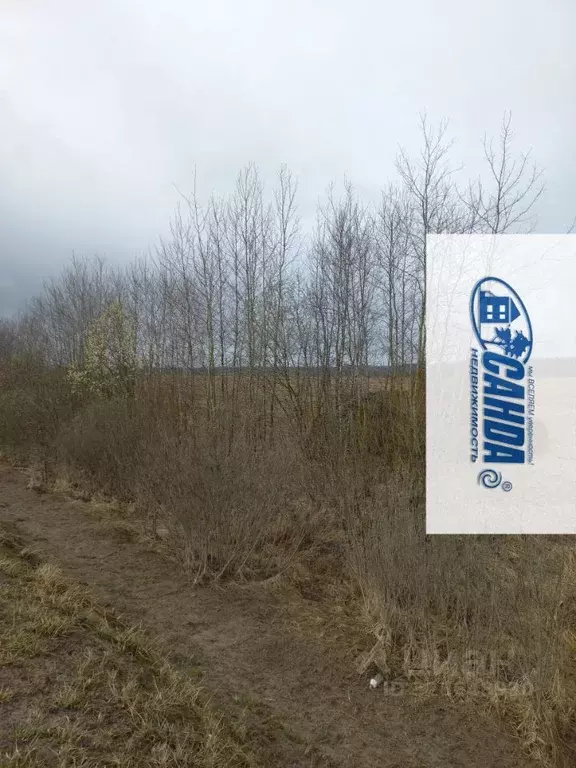 Участок в Тверская область, Калининский муниципальный округ, д. ... - Фото 2