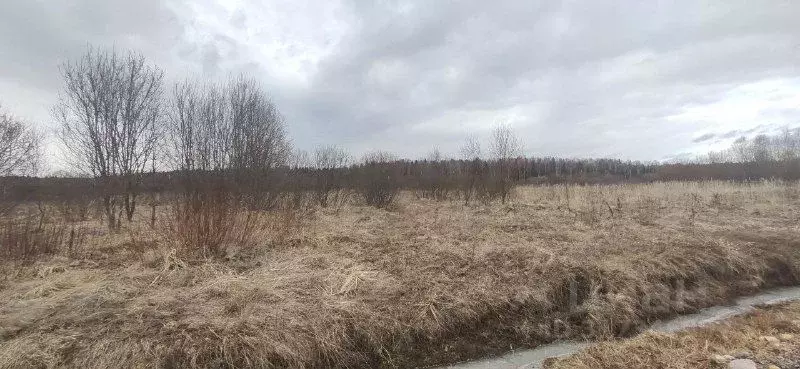 Участок в Московская область, Талдомский городской округ, Запрудня пгт ... - Фото 0