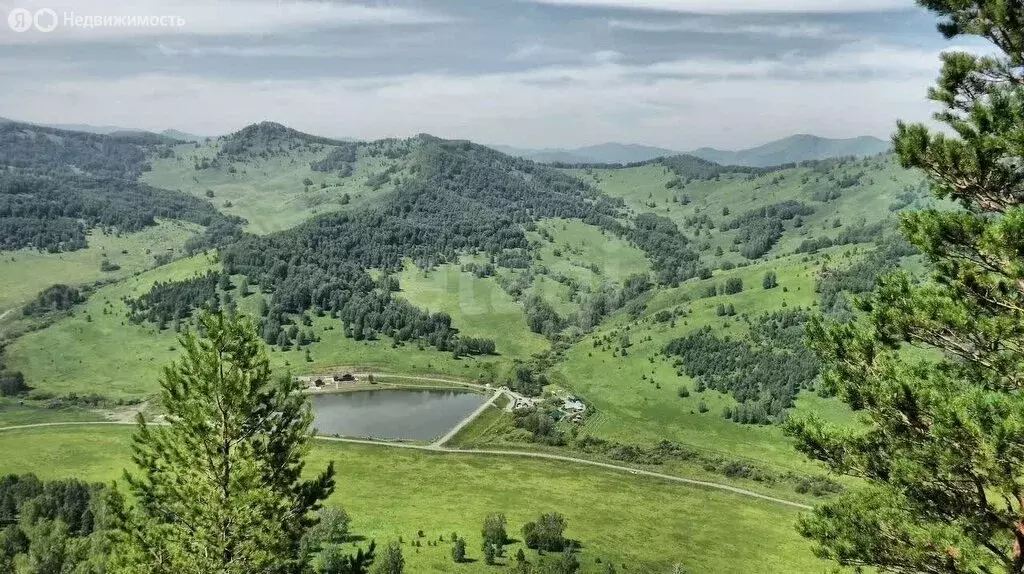 Участок в Алтайский район, игорная зона Сибирская Монета (100 м) - Фото 2