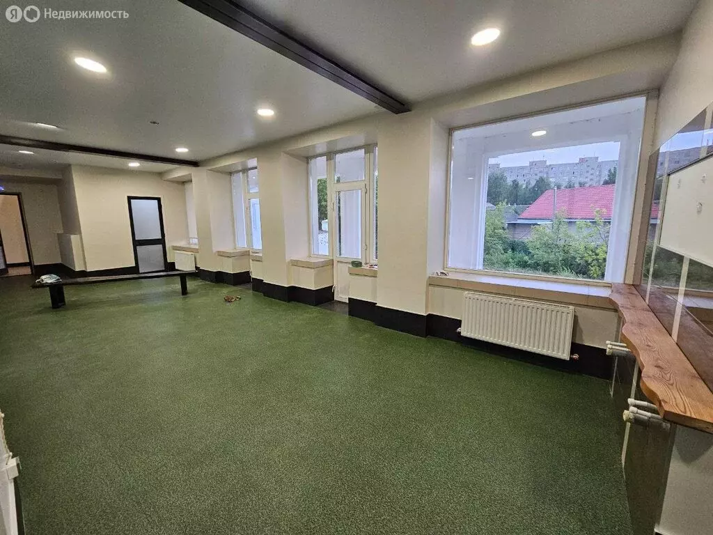 Помещение свободного назначения (46 м) - Фото 1