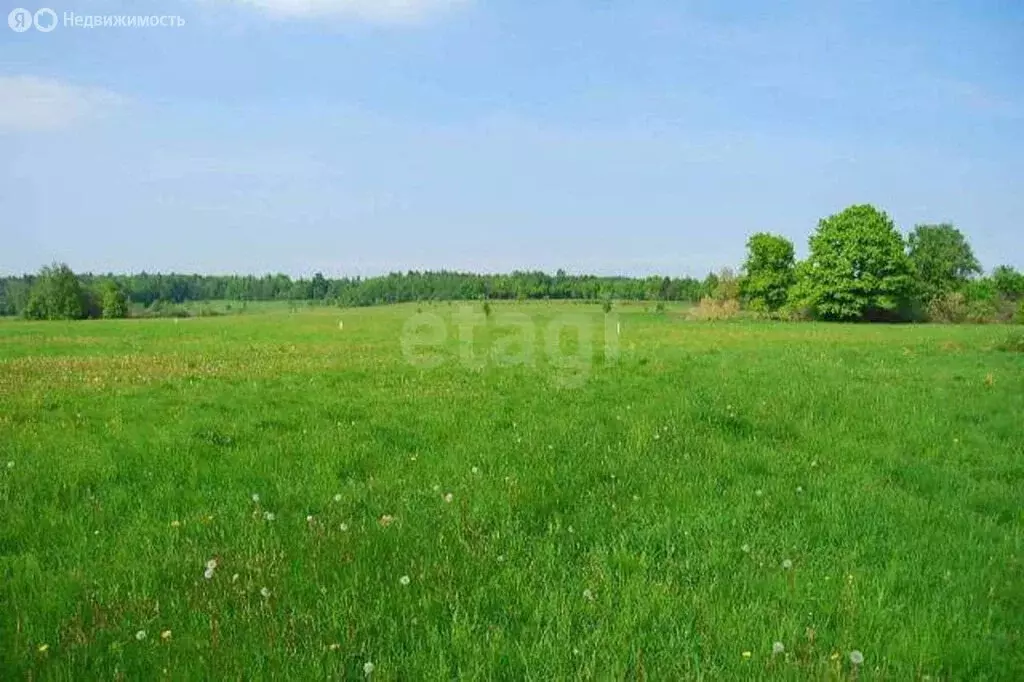Участок в Уфимский район, Зубовский сельсовет, село Нижегородка (8 м) - Фото 2