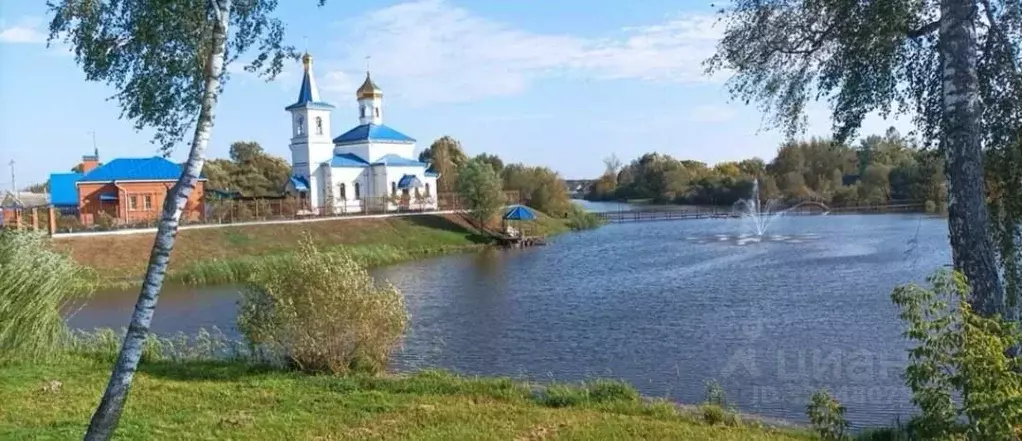 Участок в Брянская область, Навлинский район, с. Алешинка ул. ... - Фото 1