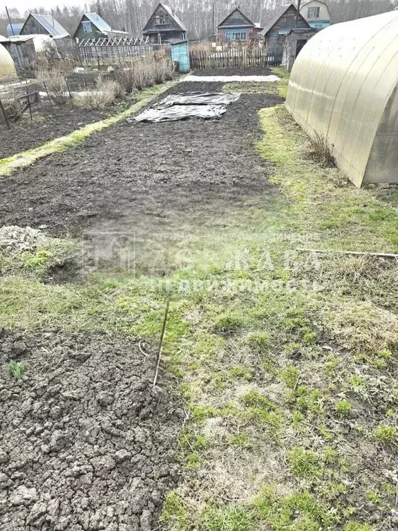 Участок в Кемеровская область, Кемерово Радуга садовое общество,  (6.0 ... - Фото 0