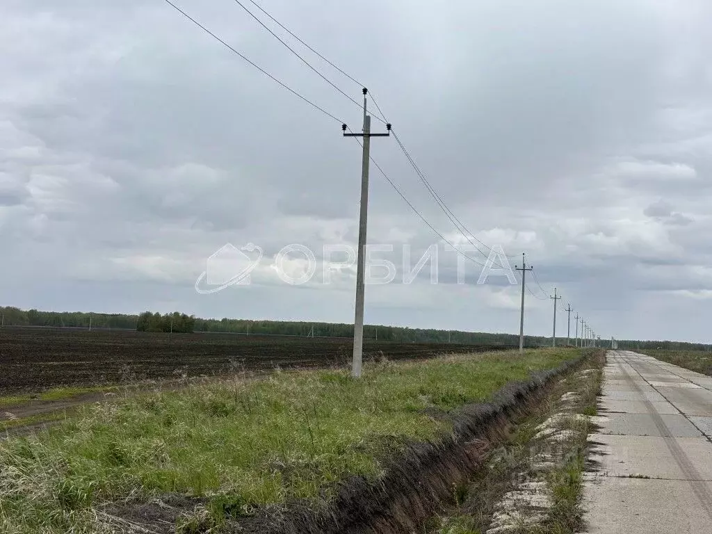 Участок в Тюменская область, Тюменский район, Кулаковское ... - Фото 1