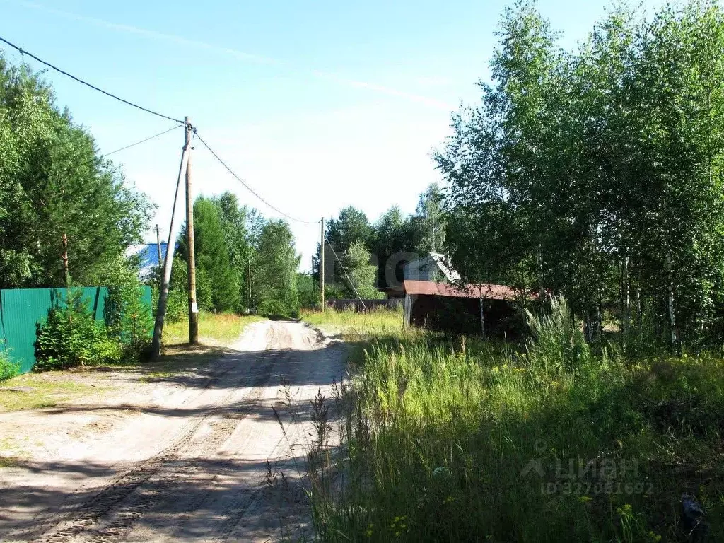 Участок в Коми, Корткеросский район, Додзь муниципальное образование, ... - Фото 2