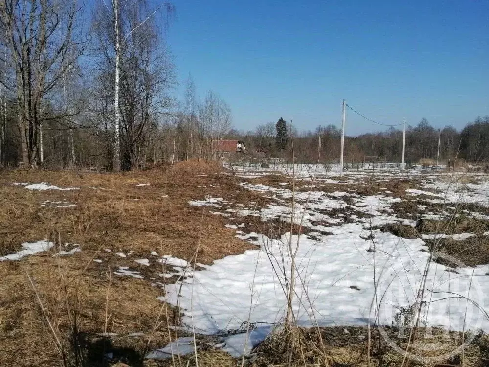 Участок в Ленинградская область, Лужский район, Ретюнское с/пос, д. ... - Фото 2