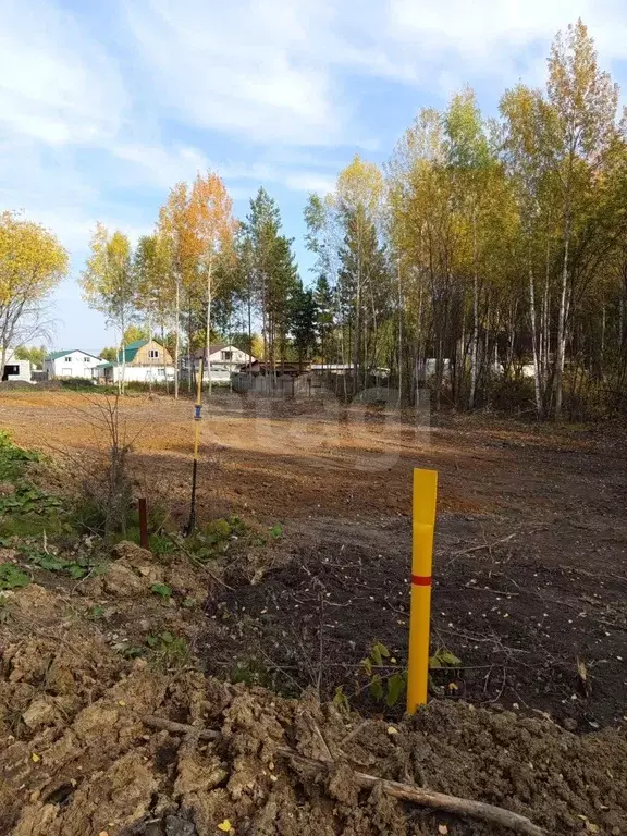 Участок, 13 сот., поселения (ижс) - Фото 1