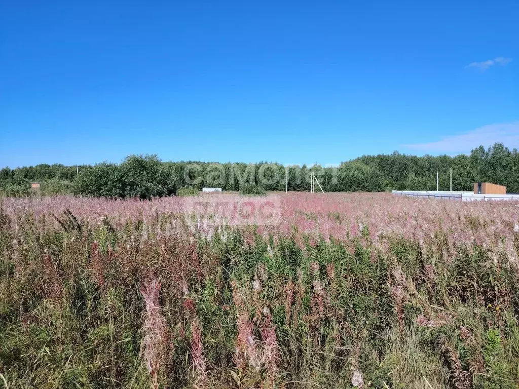 Участок в Тюменская область, Тюменский район, с. Кулига, Кулига-2 мкр  ... - Фото 2