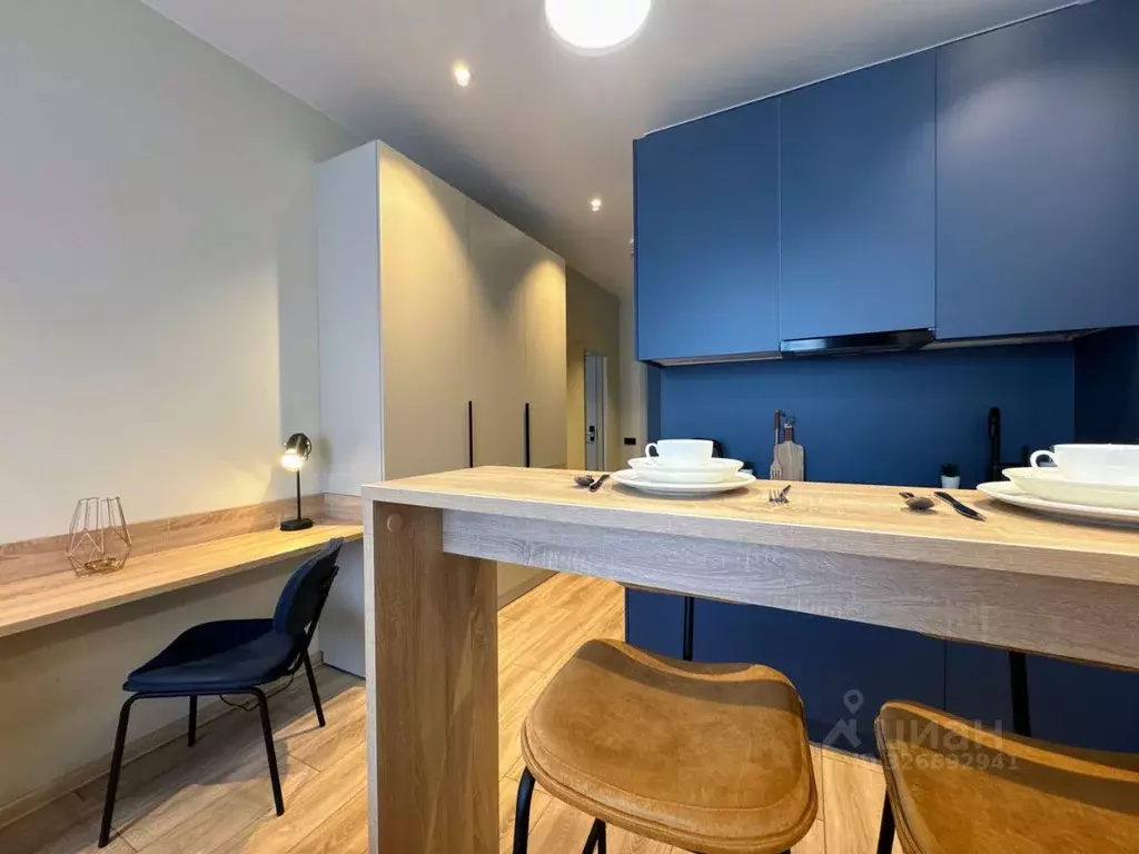 Студия Санкт-Петербург просп. Энергетиков, 8к2 (24.0 м) - Фото 2