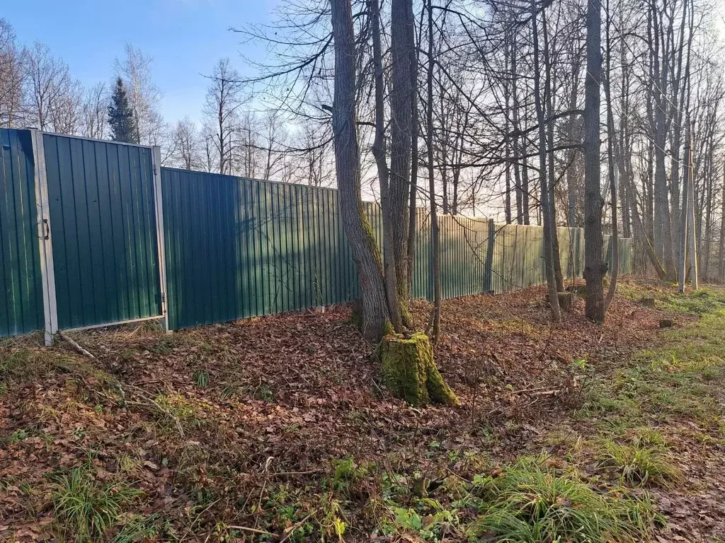 Участок в Московская область, Пушкинский городской округ, д. ... - Фото 2