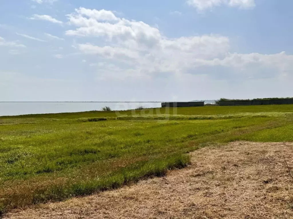 Участок в Ростовская область, Неклиновский район, Лакедемоновское ... - Фото 2