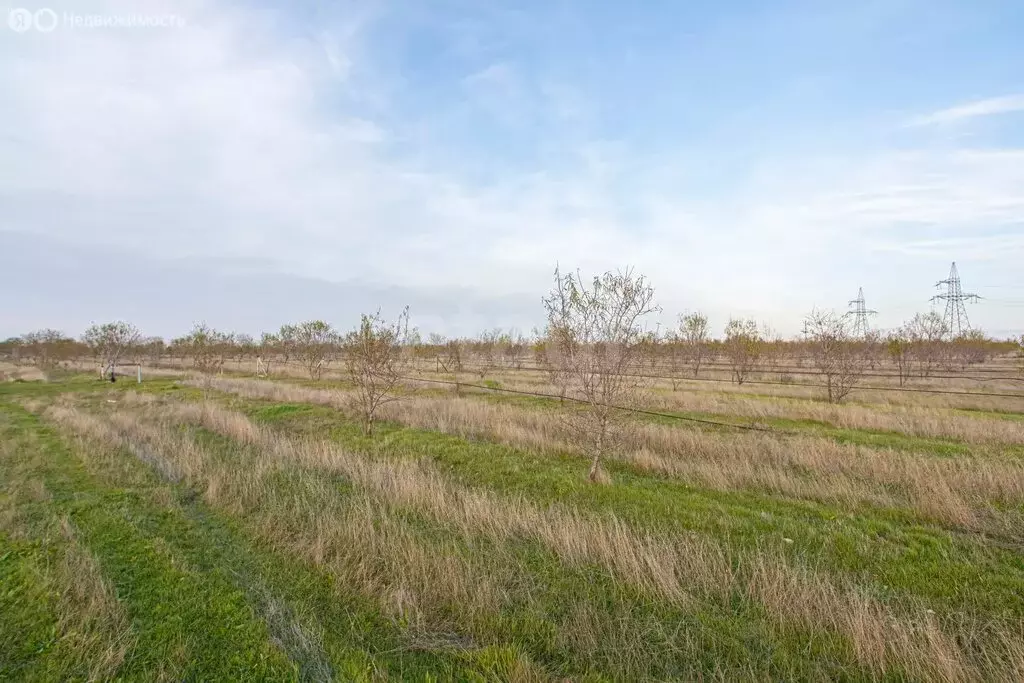 Участок в Бахчисарайский район, село Тенистое (366 м) - Фото 1