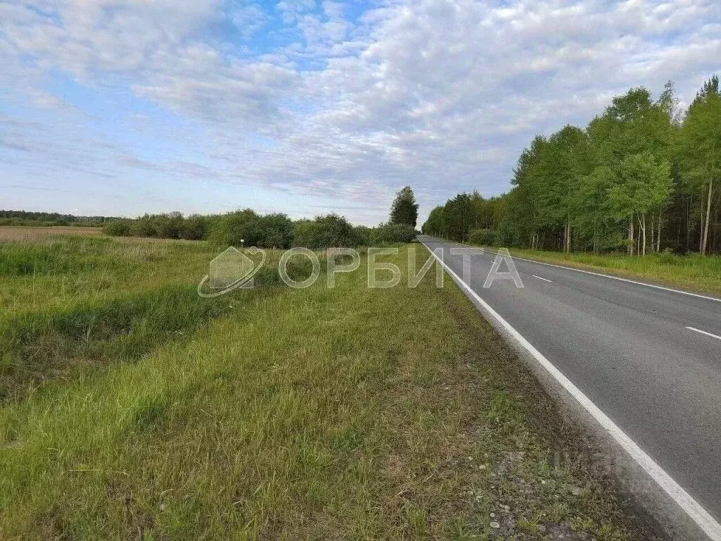 Участок в Тюменская область, Тюмень Салаирский тракт, 6-й км (100.66 ... - Фото 2