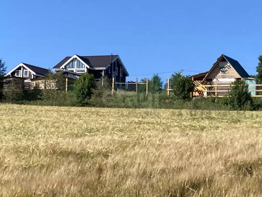 Участок в Костромская область, Красносельский район, Боровиковское ... - Фото 1