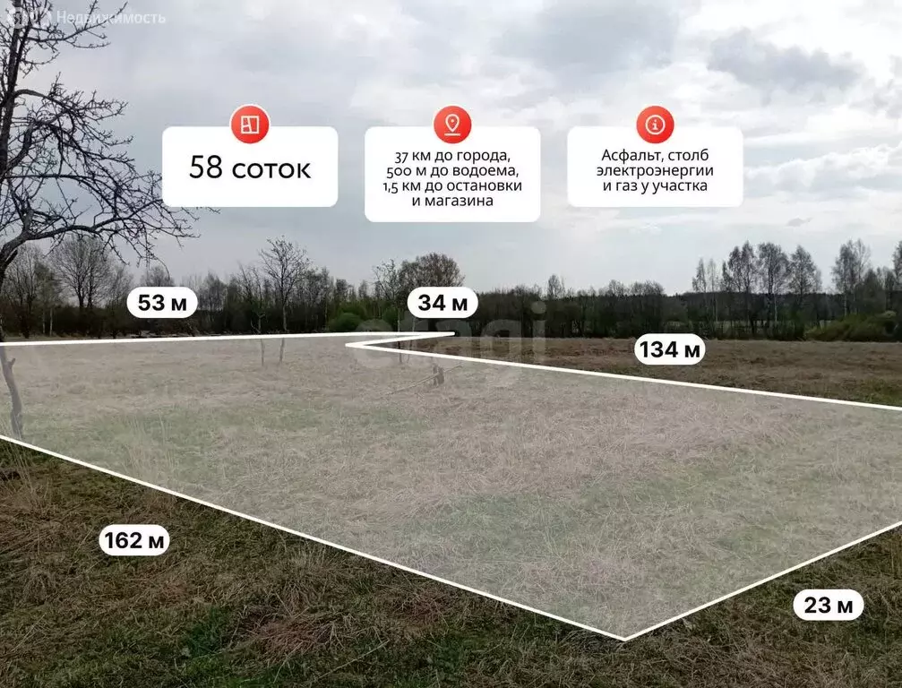 Участок в Нерехтский район, Воскресенское сельское поселение, деревня ... - Фото 2