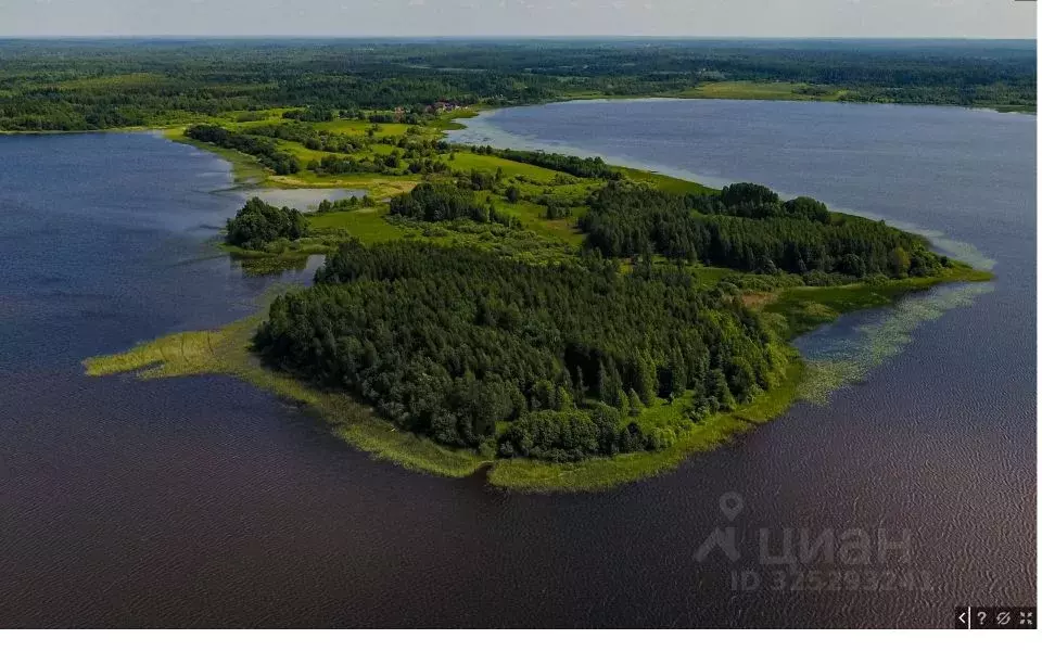 Участок в Тверская область, Западнодвинский район, д. Вережуни  ... - Фото 1