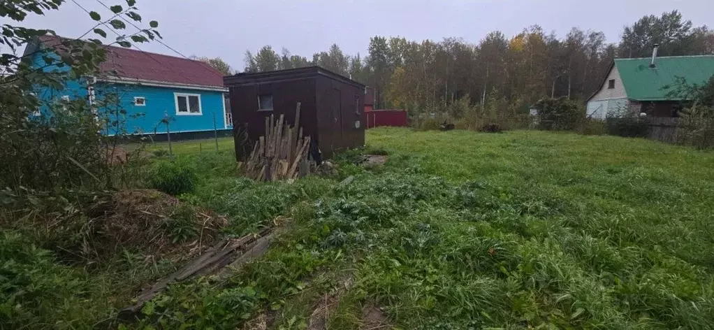 Участок в Ленинградская область, Кировский район, Синявинское ... - Фото 1