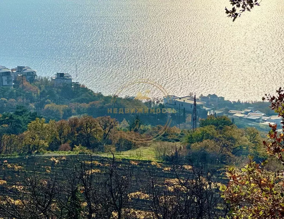 Участок в Крым, Ялта муниципальный округ, Массандра пгт ш. ... - Фото 1