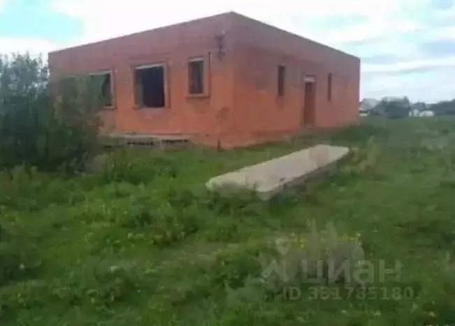 Дом в Челябинская область, Копейский городской округ, с. Синеглазово ... - Фото 1