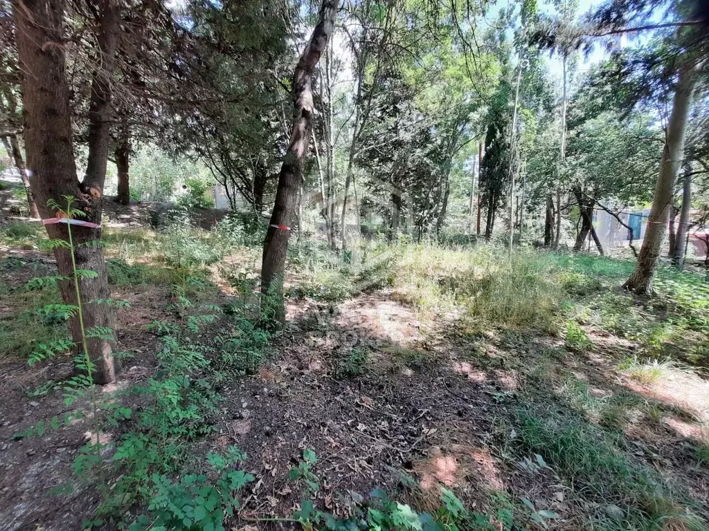 Участок в Крым, Ялта муниципальный округ, Краснокаменка пгт ул. ... - Фото 2