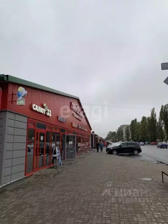 Торговая площадь в Белгородская область, Белгород Привольная ул., 1Г ... - Фото 1