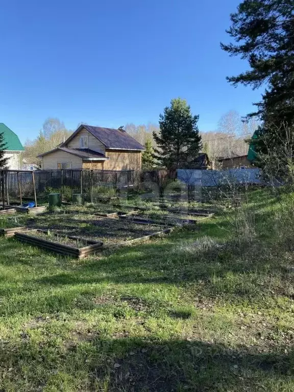 Участок в Тюменская область, Тюмень Лесная Поляна СНТ, ул. Южный ... - Фото 2