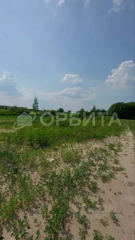 Участок в Тюменская область, Тюменский район, с. Борки  (9.42 сот.) - Фото 0