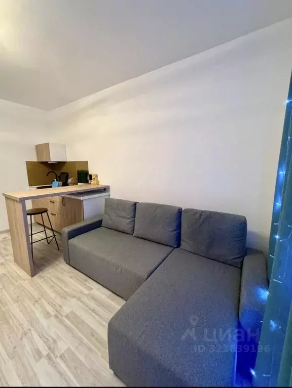 Студия Свердловская область, Екатеринбург ул. Раевского, 18А (29.8 м) - Фото 2