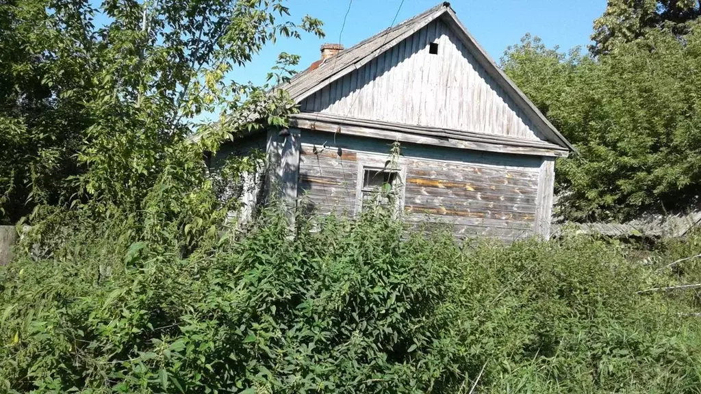 Участок в Орловская область, Дмитровский район, Друженское с/пос, пос. ... - Фото 1