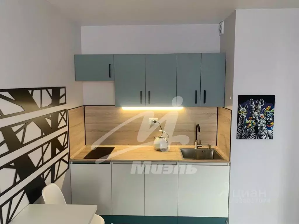 2-к кв. Московская область, Балашиха Железнодорожный мкр, ул. ... - Фото 1