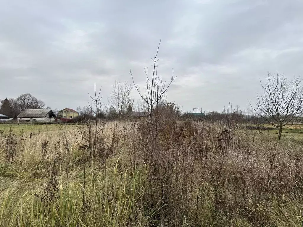 Участок в Московская область, Серебряные Пруды муниципальный округ, д. ... - Фото 2