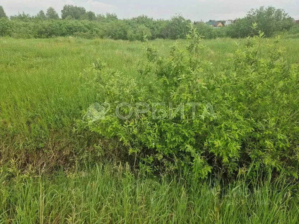Участок в Тюменская область, Тюменский район, с. Мальково Новая ул., ... - Фото 0
